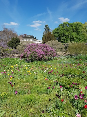Hermannshof Weinheim